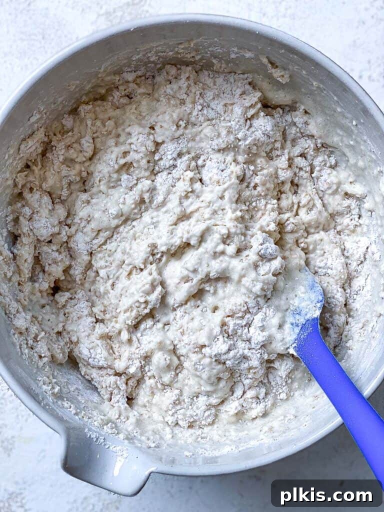 Decadent Vegan Biscoff Dream 11 process shot of mixing ingredients together in a bowl, gently folding batter