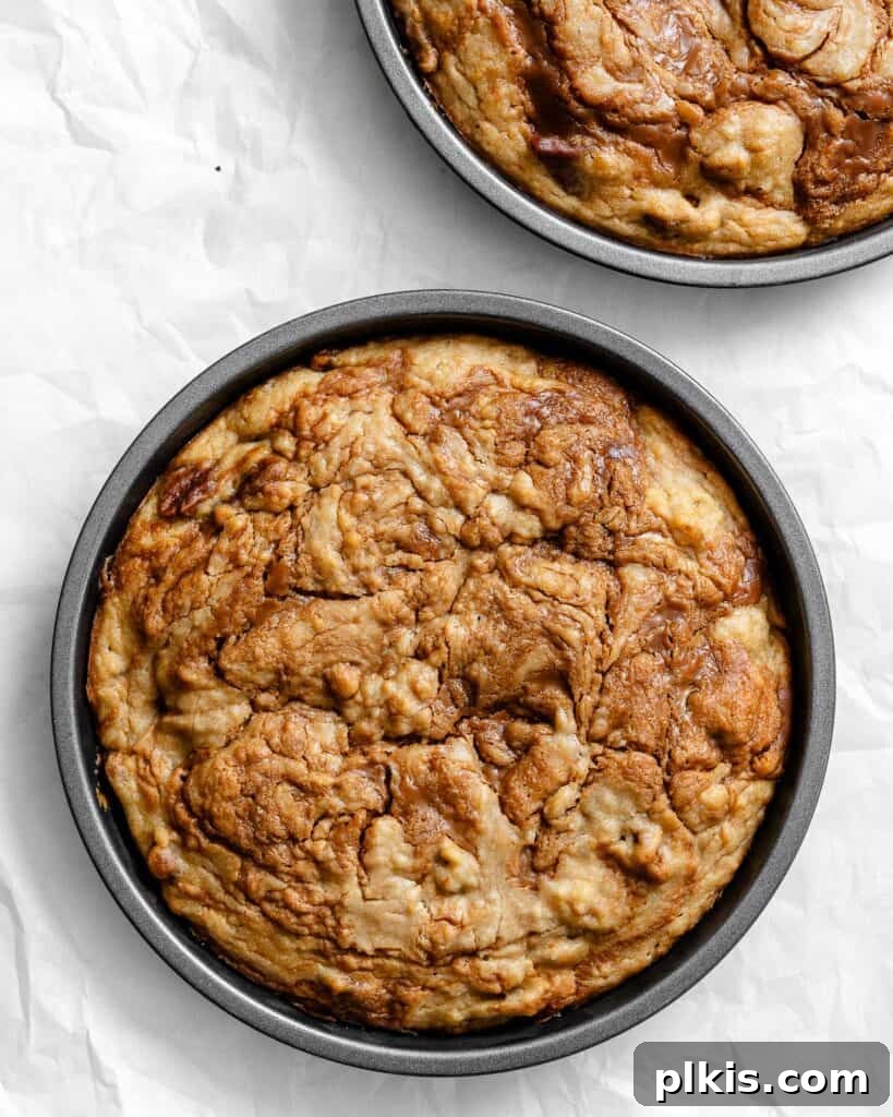 Decadent Vegan Biscoff Dream 19 post baked Vegan Biscoff Cake against a white surface, golden brown and perfectly risen