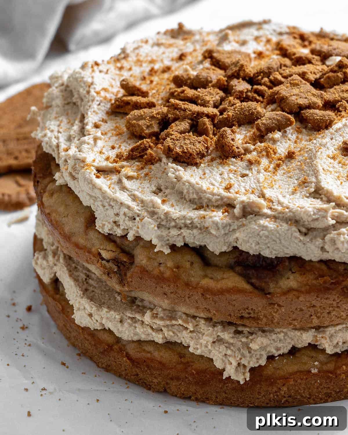 Decadent Vegan Biscoff Dream 21 completed Vegan Biscoff Cake against a white surface, close-up of the frosting and decoration