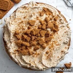 completed Vegan Biscoff Cake against a white surface