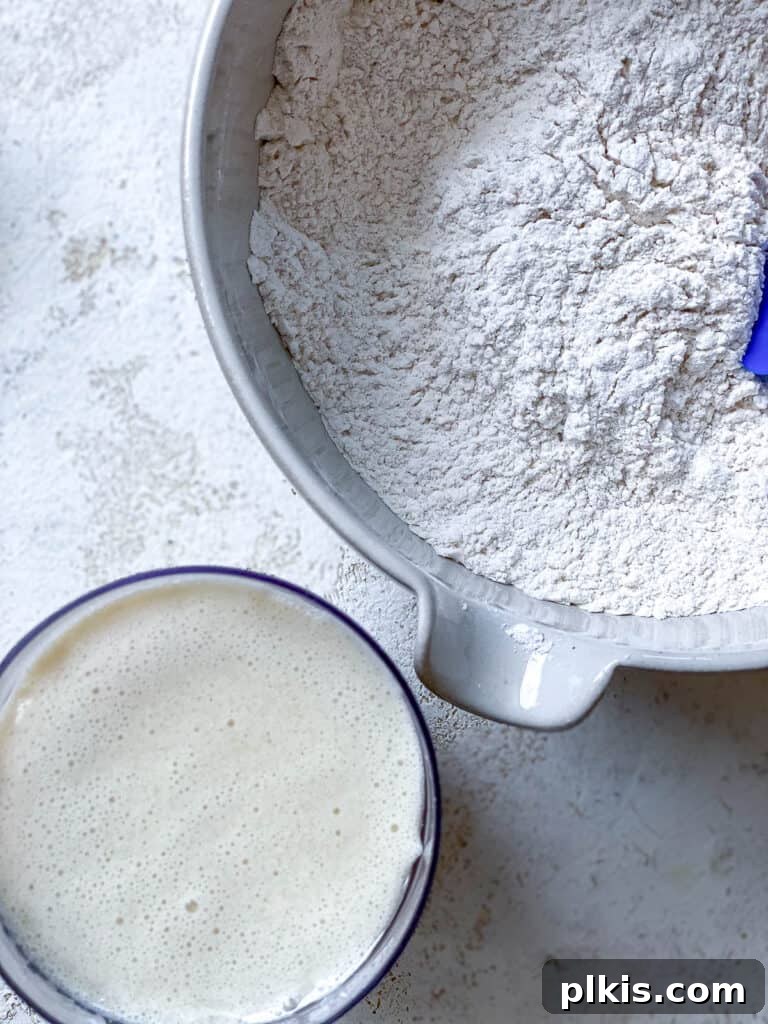 Decadent Vegan Biscoff Dream 10 ingredients for Vegan Biscoff Cake against a white surface, showing pouring wet into dry