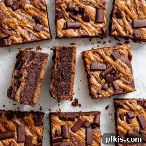 Swirled Biscoff Fudgy Brownies 10 completed Biscoff Brownies against a white surface