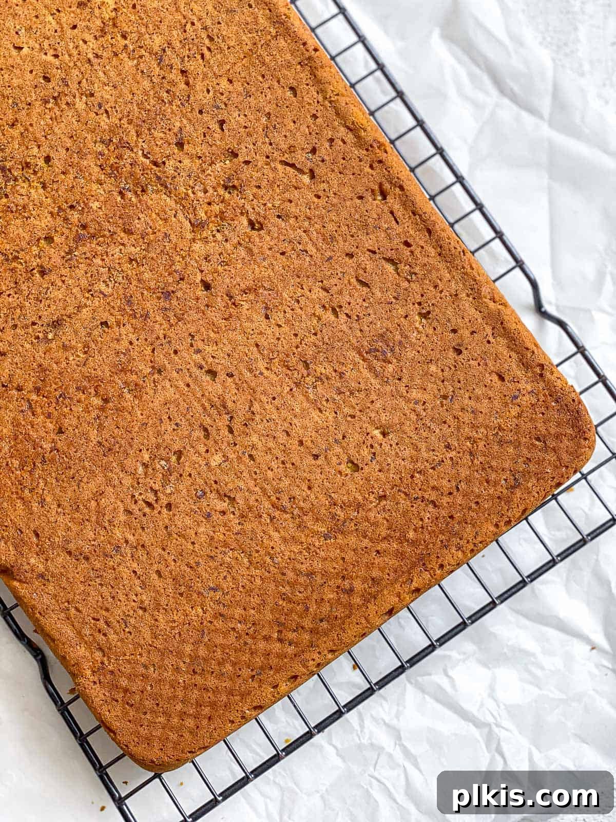 Vegan Pumpkin Delight 9 Process shot: Freshly baked Vegan Pumpkin Cake cooling on a wire rack.