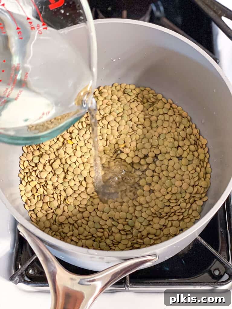 Hearty Lentil Sloppy Joes for Stove Top or Slow Cooker 4 Process shot of adding water to a pot of lentils and spices.