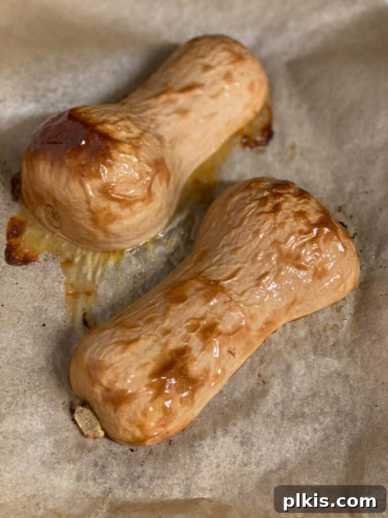 Golden Thai Squash Elixir 6 Roasted butternut squash halves, golden brown and tender, freshly removed from the oven.