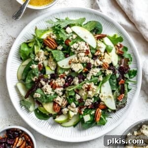 completed Easy Apple Pecan Salad [With Cranberries] in a bowl