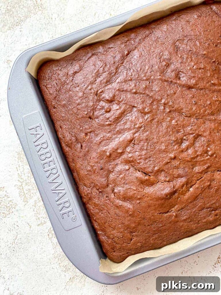 Cozy Vegan Gingerbread Spice Cake 9 A freshly baked vegan gingerbread cake cooling in its pan, showing a perfectly golden-brown crust and risen center.
