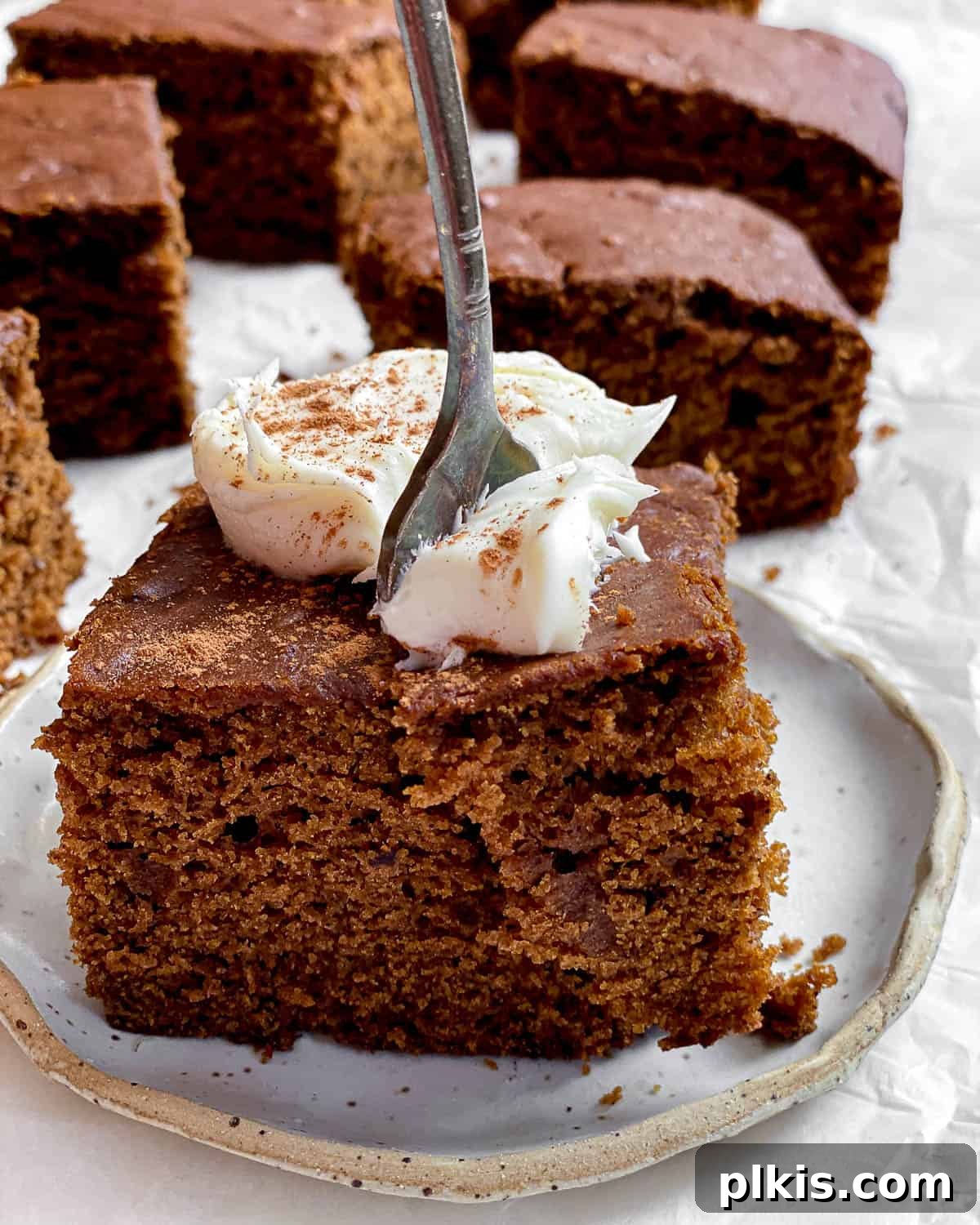 Cozy Vegan Gingerbread Spice Cake 10 Close-up of perfectly sliced vegan gingerbread cake, showing its tender, moist crumb, adorned with powdered sugar for a festive holiday presentation.