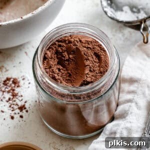 Plant Based Hot Cocoa Bliss 2 A jar of homemade dairy-free hot chocolate mix with a cozy winter backdrop.
