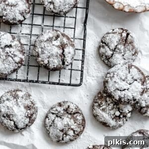 Completed Vegan Chocolate Crinkle Cookies on a white surface, perfect for a recipe card image.