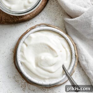 completed Healthy Vegan Mayonnaise [Oil-Free] in a bowl