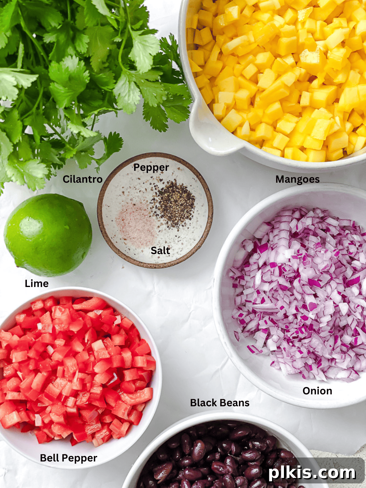 Golden Mango Burst 3 ingredients for mango salsa in individual white bowls with labels.