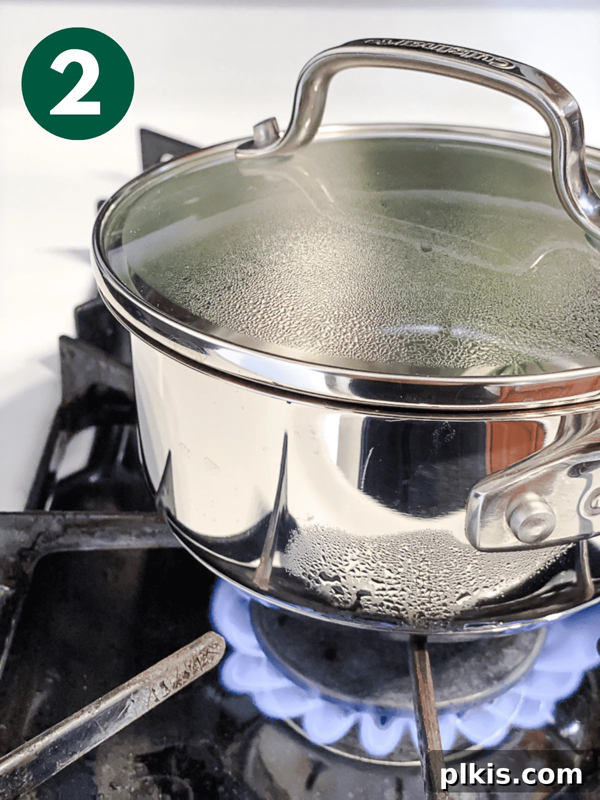 Rosemary's Evergreen Elixir 5 Rosemary sprigs and water beginning to boil in a pot on the stove.