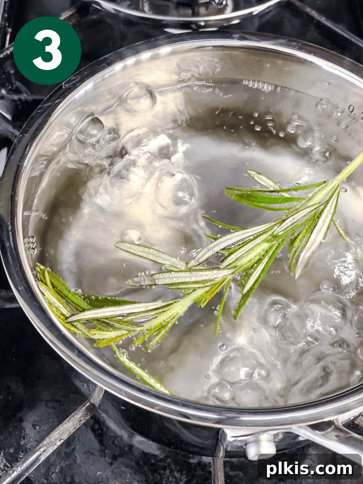 Rosemary's Evergreen Elixir 6 A single sprig of rosemary vigorously boiling in a pot of water on a stovetop, covered.