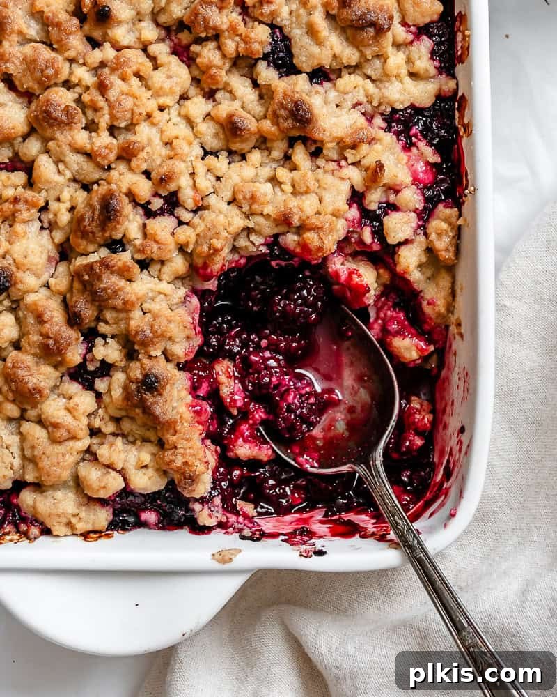 Completed Easy Vegan Blackberry Crumble in a rustic baking dish, ready to be served.