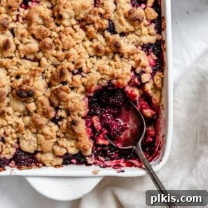 Completed Easy Vegan Blackberry Crumble in baking dish