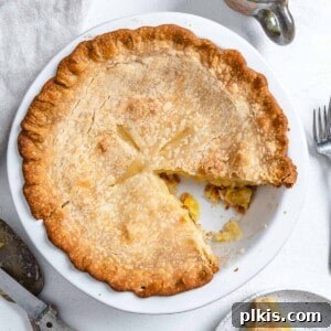 Tropical Vegan Coconut Pineapple Pie 14 Completed Vegan Coconut Pineapple Pie in pie tray with a slice missing against a white background