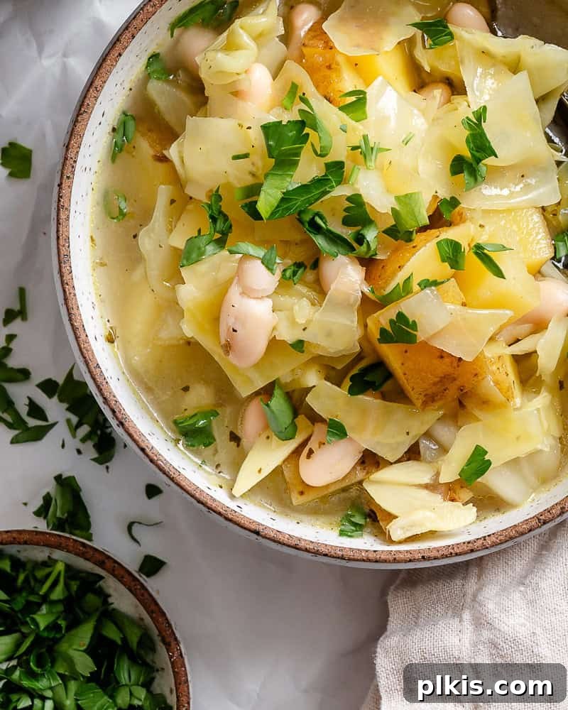 Rustic Cabbage and Bean Pot 8 A bowl of hot Cabbage Bean Soup, ready to be served, garnished with fresh herbs.