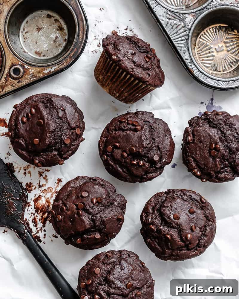 Decadent Double Chocolate Muffins 2 An inviting overhead view of freshly baked vegan Double Chocolate Chip Muffins, highlighting their rich chocolate color and abundant chocolate chips.