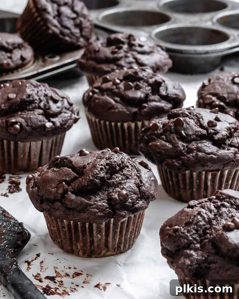 Decadent Double Chocolate Muffins 10 A close-up view of freshly baked vegan Chocolate Chocolate Chip Muffins, showing their rich texture and glistening chocolate chips.