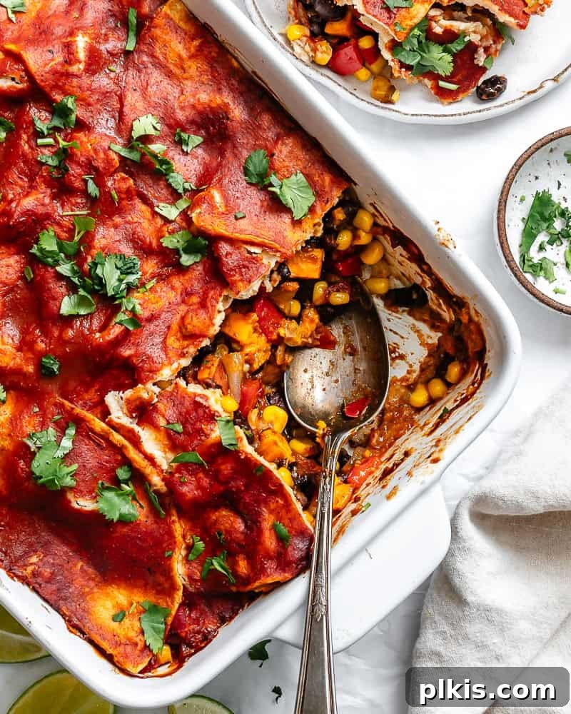 Plant-Powered Enchilada Layers 9 completed Vegetarian Enchilada Casserole in baking dish
