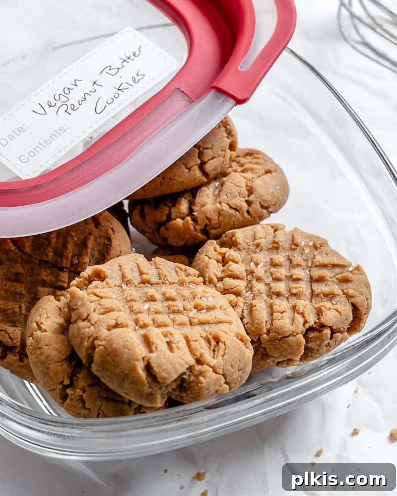 Plant-Based Peanut Butter Perfection 11 completed Vegan Peanut Butter Cookies in storage container
