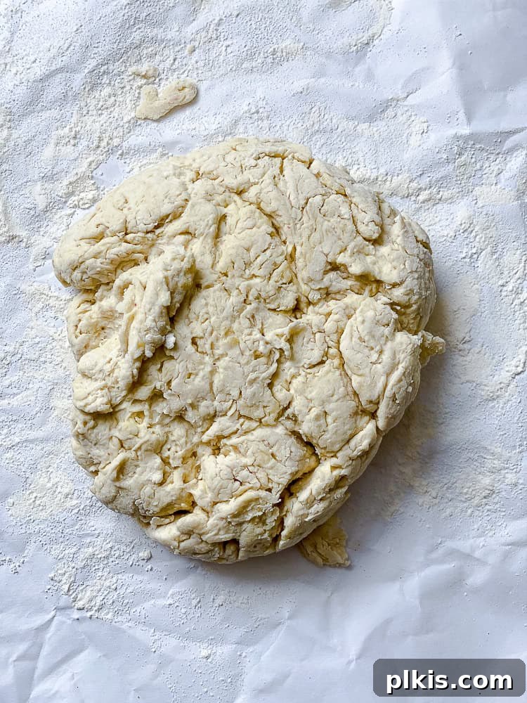 Fluffy Vegan Naan 9 A shaggy, slightly sticky vegan naan dough resting on a lightly floured white surface.