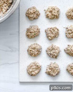Crispy Quinoa Bites 11 img 706 10