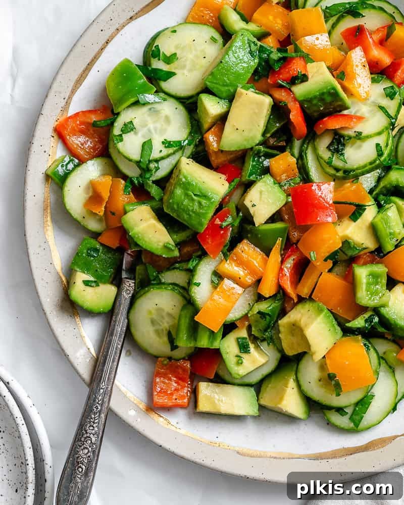 Crisp Cucumber and Pepper Medley 8 A beautifully garnished and completed Cucumber and Bell Pepper Salad, ready to be served.