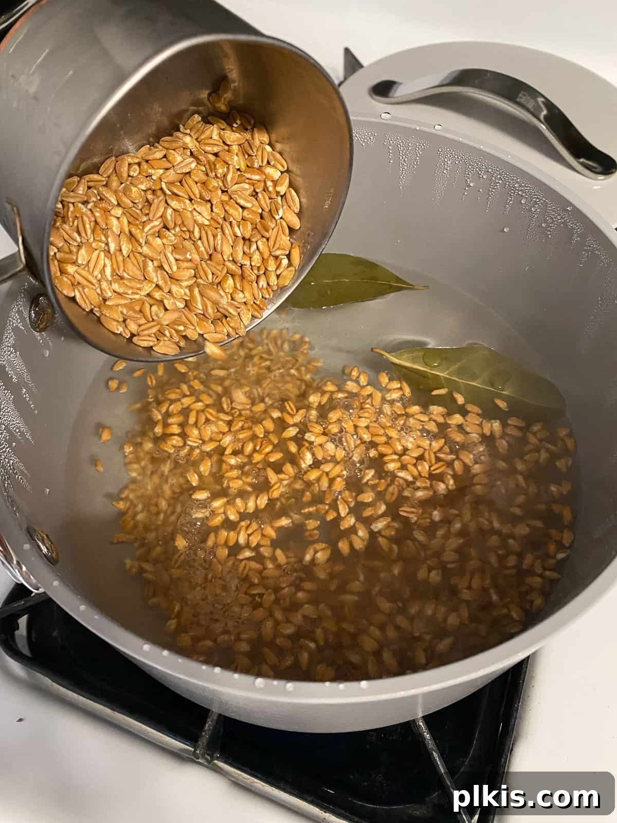 Process of adding farro to a pan of boiling water with bay leaves
