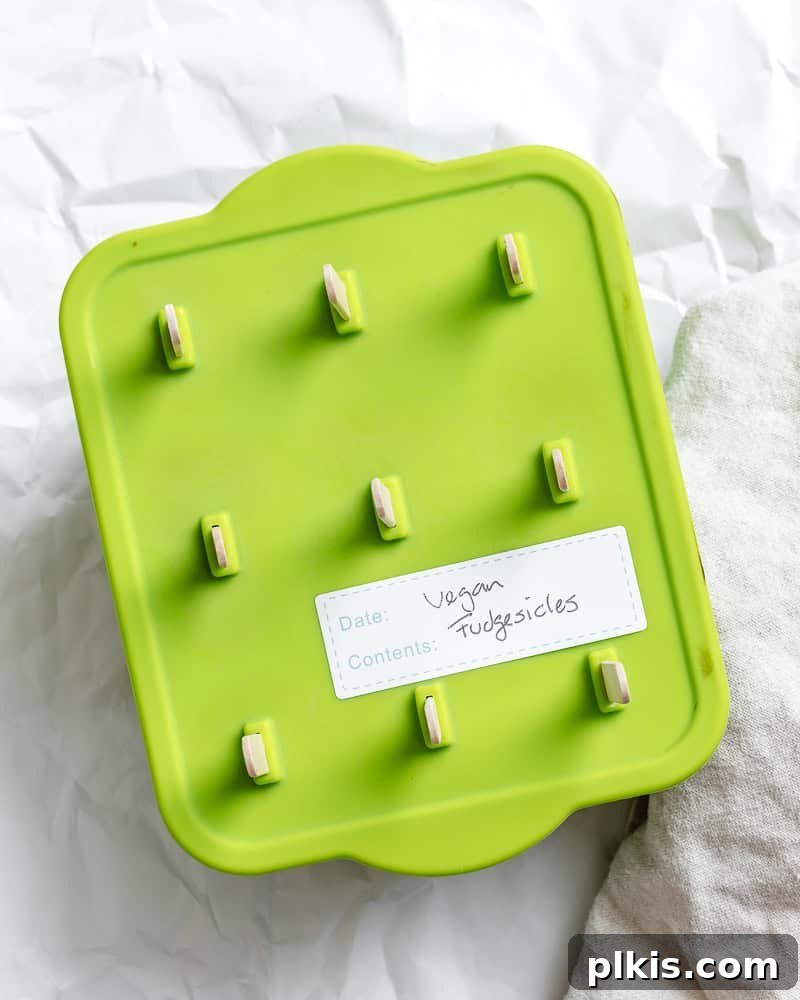 Decadent Dairy-Free Fudge Pops 8 completed Vegan Fudgesicles in a storage container