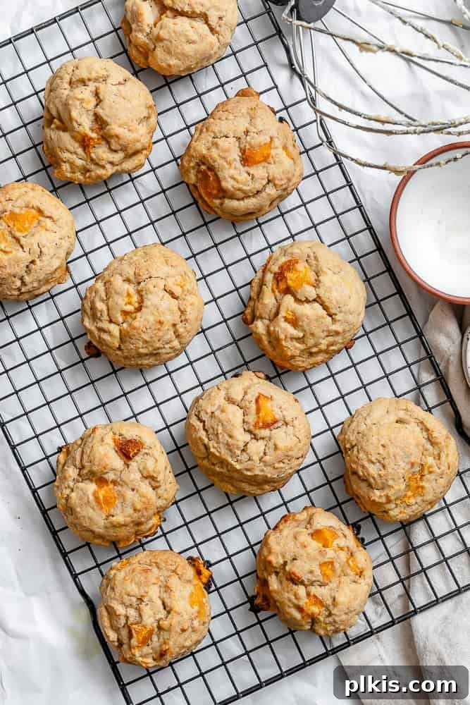 Golden Apricot Delights 2 Several golden-brown Apricot Cookies cooling on a wire rack, showcasing their crisp edges and soft centers, with visible chunks of apricot.