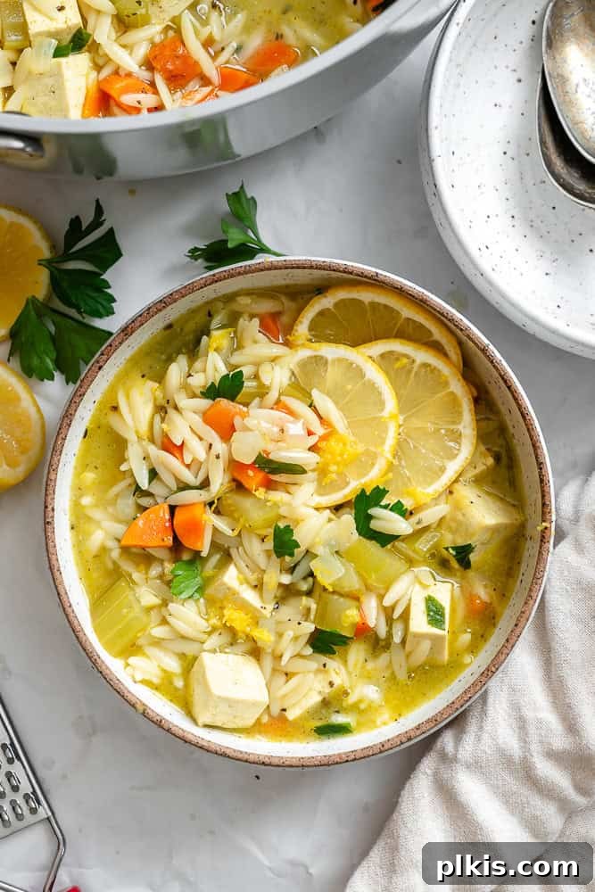 Sunshine Lemon Orzo Soup 2 A beautifully presented bowl of Lemon Orzo Soup, garnished with fresh parsley and a lemon wedge, ready to be enjoyed.