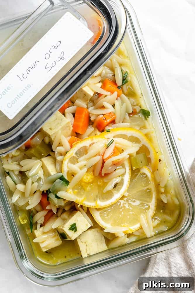 Sunshine Lemon Orzo Soup 9 Lemon Orzo Soup stored in a freezer-safe Souper Cube container, indicating readiness for future meals.
