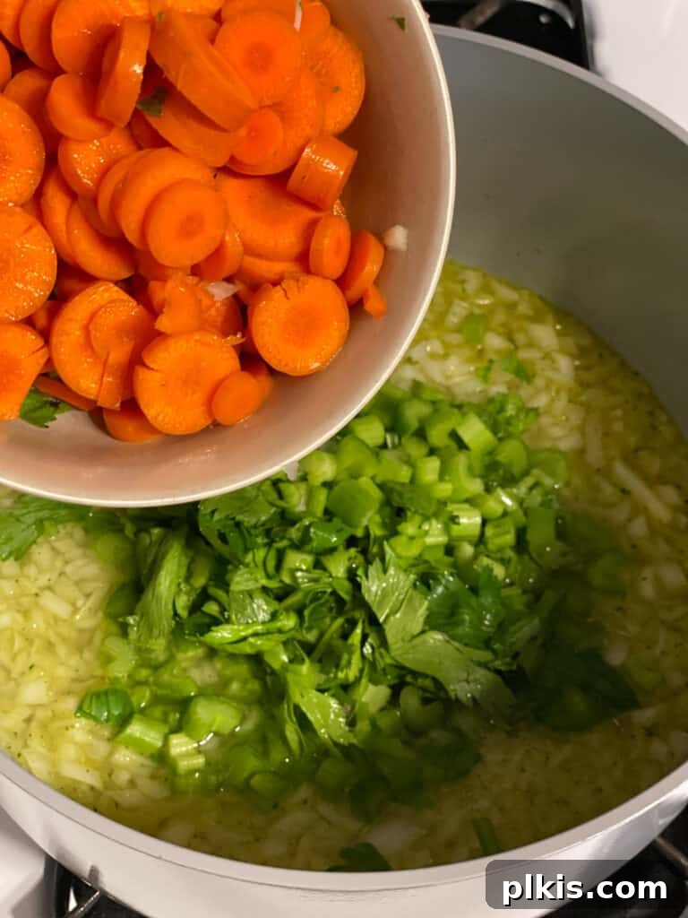 Velvety Vegan Broccoli Bliss 8 process shot of carrots being added to pot