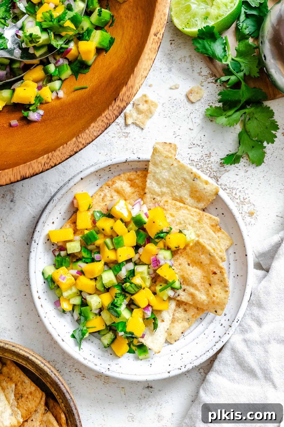 Sunshine Mango Cucumber Salsa 2 Completed Mango Cucumber Salsa on a plate against a white surface, showcasing its vibrant colors and fresh ingredients.