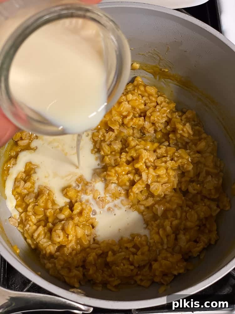 Cozy Autumn Pumpkin Oatmeal 5 Process shot showing plant-based milk being poured into the pot with oatmeal.