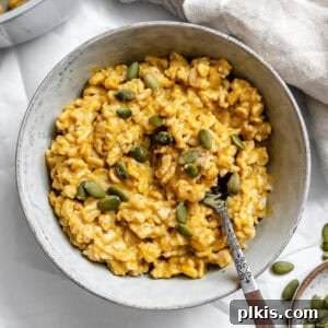 A bowl of completed Easy Pumpkin Oatmeal, showcasing its appealing texture and garnishes.