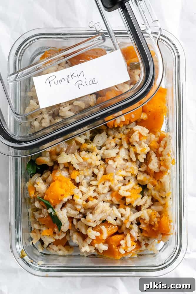 Completed Easy Pumpkin Rice stored in a clear airtight container, ready for the refrigerator or freezer.