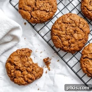 Cozy Gingerbread Oatmeal Cookies 10 completed Gingerbread Oatmeal Cookies on cooling rack