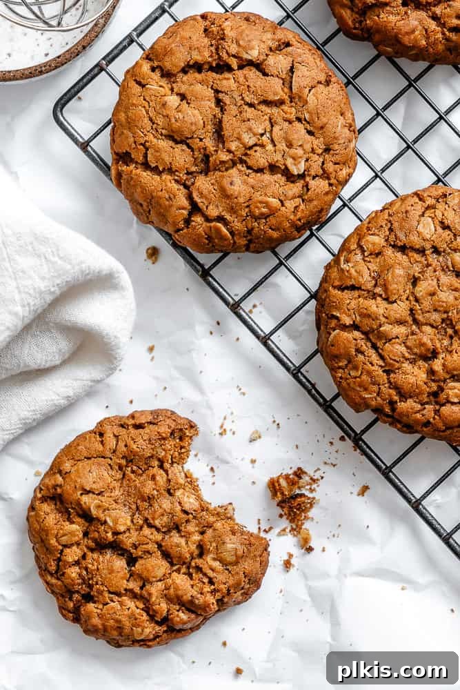 Cozy Gingerbread Oatmeal Cookies 8 A fresh batch of completed Gingerbread Oatmeal Cookies cooling gracefully on a wire rack, showcasing their golden-brown perfection.