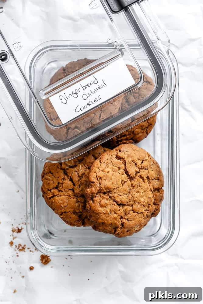 Cozy Gingerbread Oatmeal Cookies 9 Freshly baked Gingerbread Oatmeal Cookies neatly stored in a clear airtight container, ready for future enjoyment.