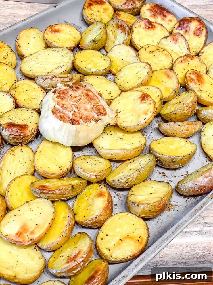 Rosemary Garlic Roasted Baby Potatoes 5 Process shot showing seasoned baby potatoes and a whole head of garlic spread evenly on a baking dish lined with parchment paper.