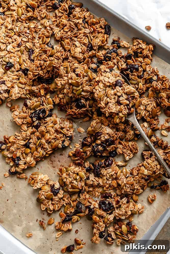 Spiced Maple Pumpkin Crunch 6 A close-up of crunchy Maple Pumpkin Granola in a baking pan, highlighting its texture and color