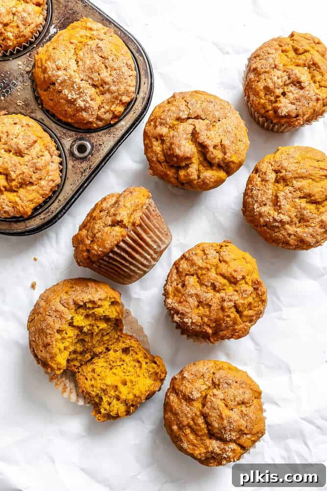 Deliciously baked butternut squash cupcakes arranged beautifully on a pristine white surface, ready to be enjoyed.