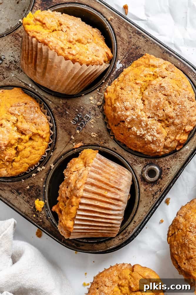 Freshly baked butternut squash cupcakes cooling in a muffin tin, showcasing their golden brown tops.