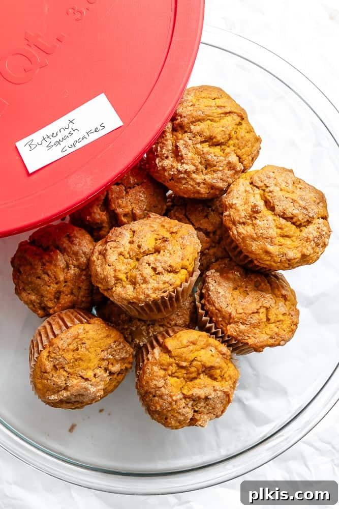 Butternut squash cupcakes neatly packed in an airtight storage container, ready for refrigeration or freezing.