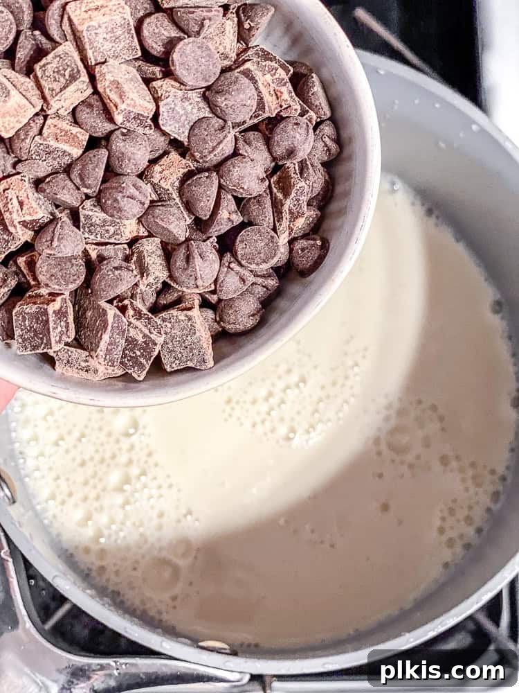 Guilt Free Chocolate Bliss 4 process shot showing adding chocolate chips to pot