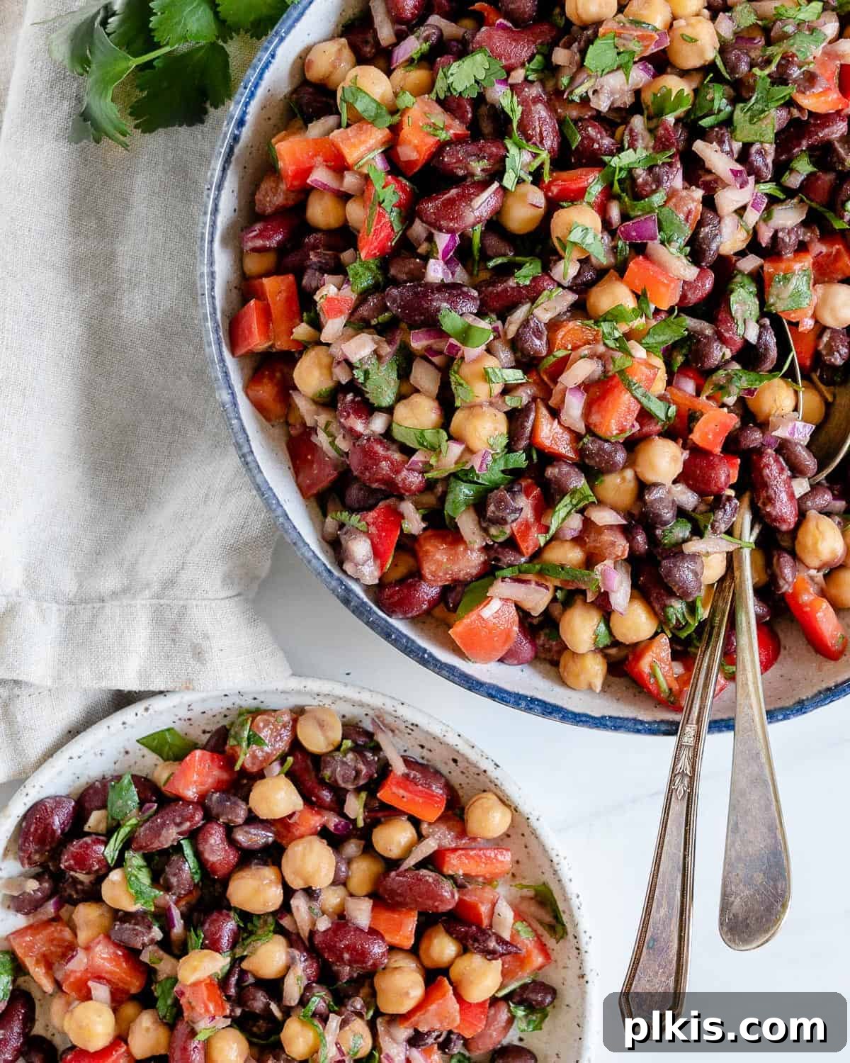 Completed mixed bean salad in a large serving bowl and an individual bowl, set against a clean white background.