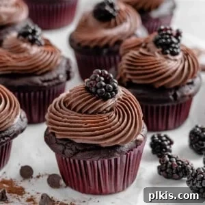 Rich Chocolate Blackberry Delights 14 Completed Blackberry Chocolate Cupcakes with blackberries scattered against a white surface